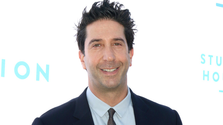 David Schwimmer smiling