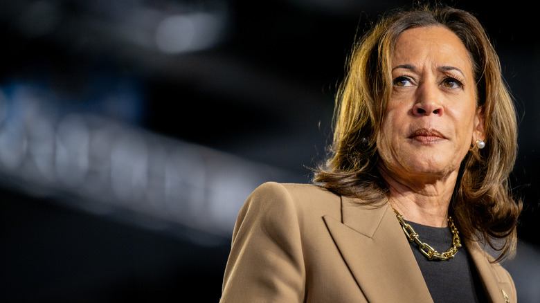 Kamala Harris speaking at a campaign rally