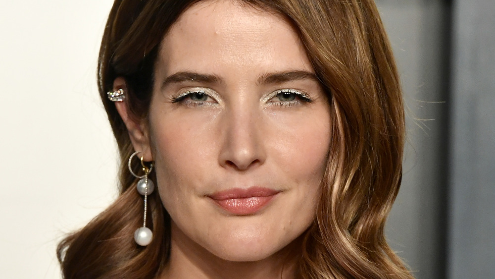 Cobie Smulders smirking