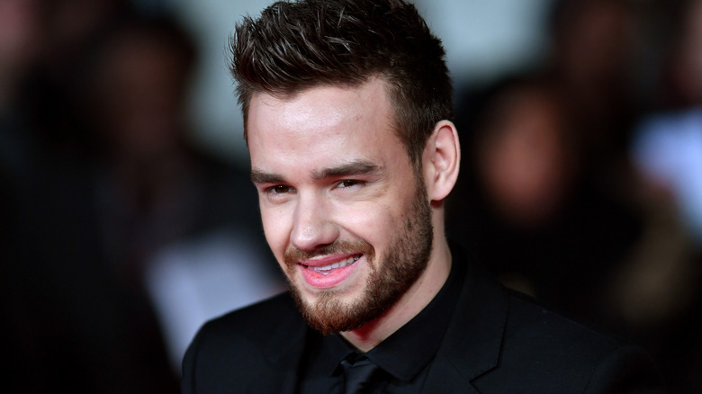 Liam Payne poses at the premiere of "I Am Bolt"