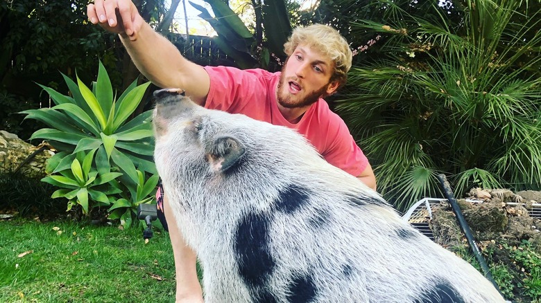 Logan Paul with his pet pig, Pearl