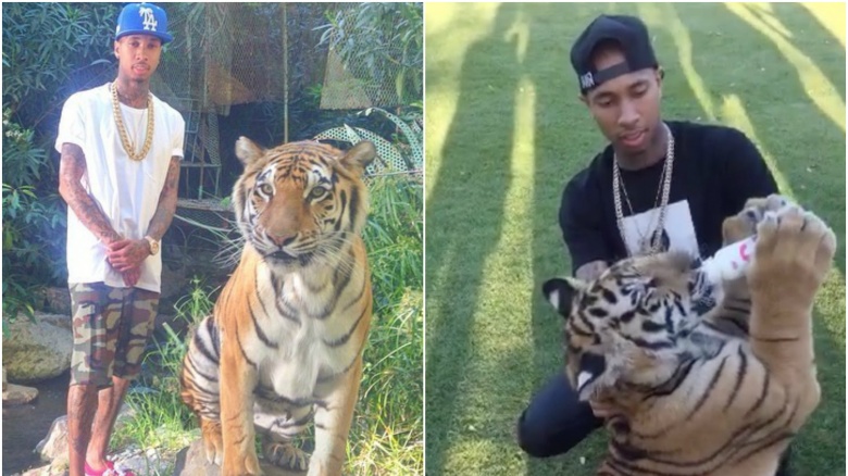 Tyga with his tiger