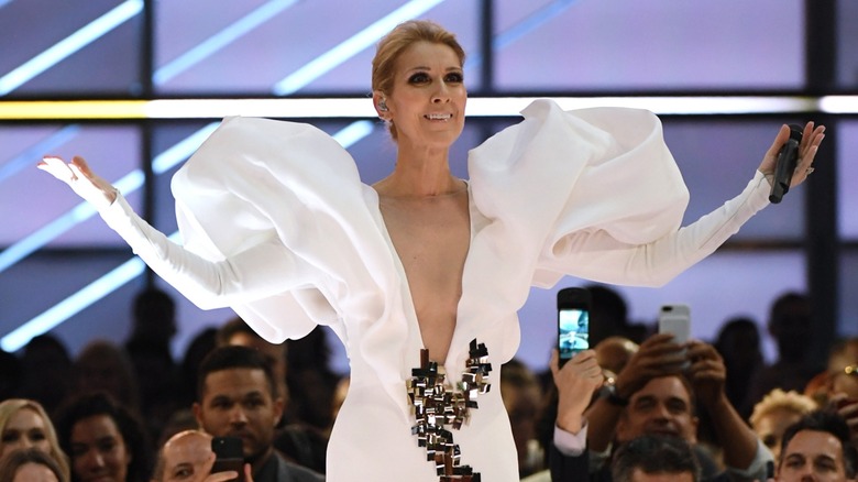 Céline Dion white dress sleeves