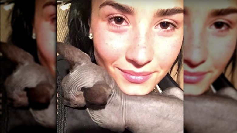 Demi Lovato with hairless cat