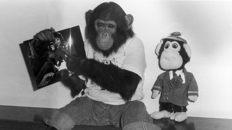 Bubbles the chimpanzee with photo of Michael Jackson