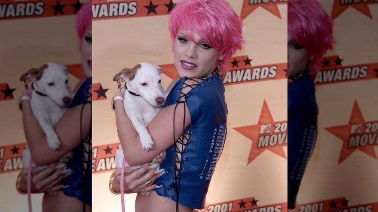 Singer Pink with her dog 