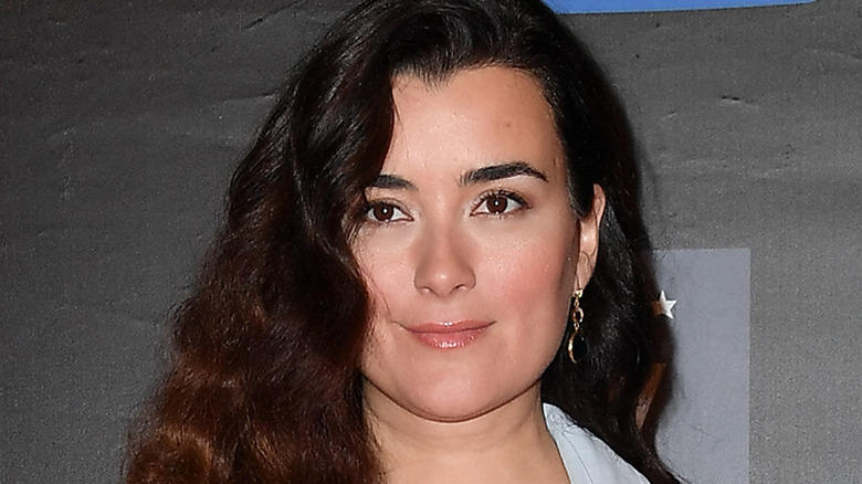 Cote de Pablo smiles at an event