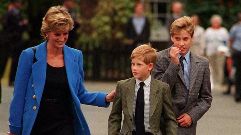 Princess Diana, smiling, walking with Prince Harry and Prince William in 1995