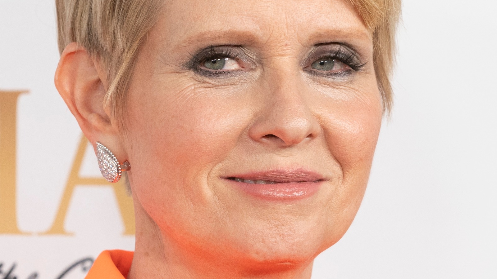 Cynthia Nixon Returned To Sex And The City Under This One Condition