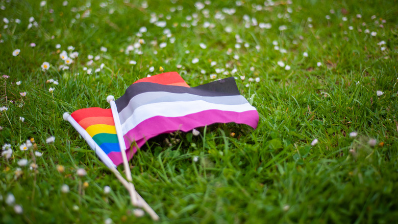 Two mini Pride flags lying on a field of grass