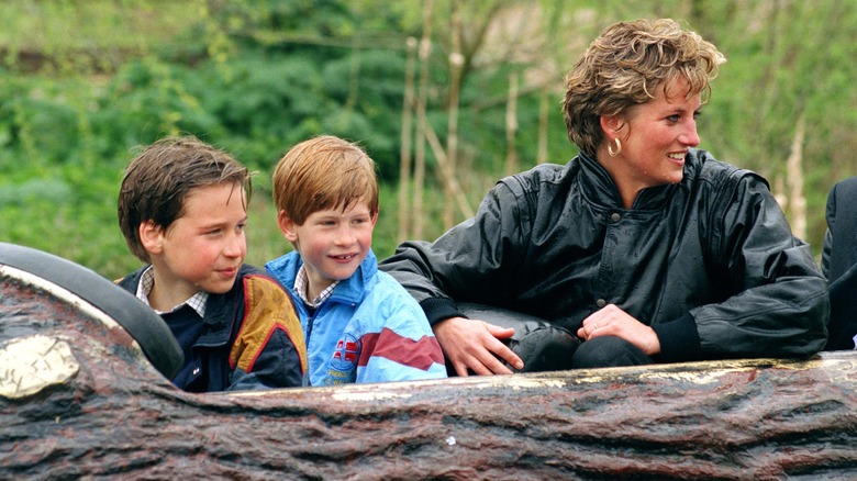 Princess Diana with a young Prince William and Prince Harry