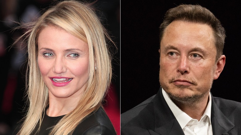 Cameron Diaz smiles, Elon Musk scowls