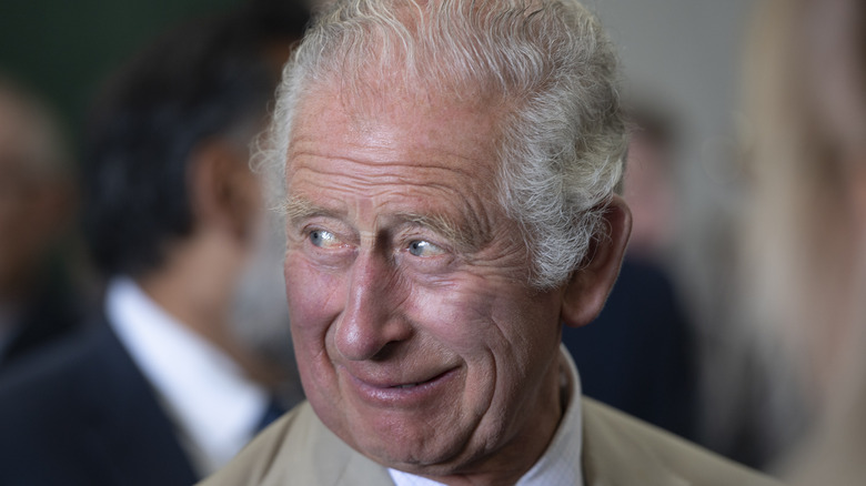 Prince Charles looking right and grinning