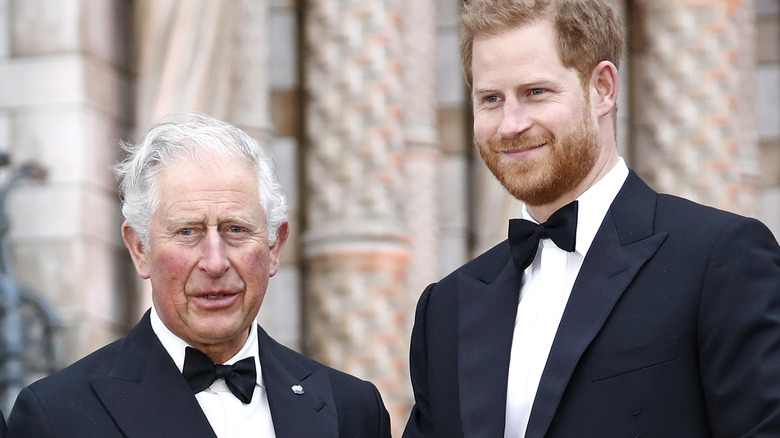 Prince Charles and Prince Harry photographed at a royal event