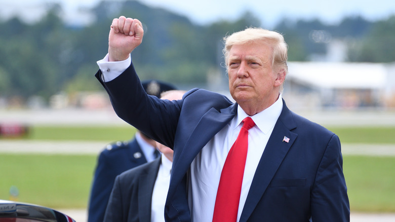 Donald Trump with fist in the air