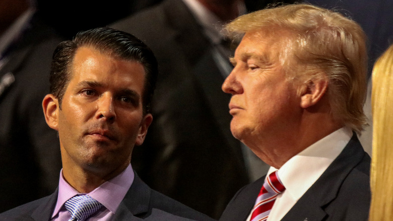 Donald Trump Jr. and his dad staring into space