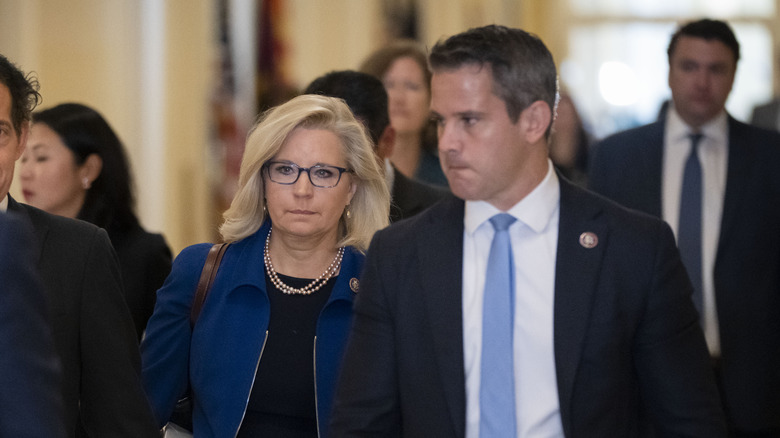 Liz Cheney and Adam Kinzinger walking