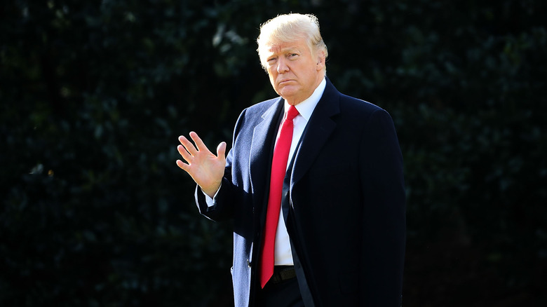 Donald Trump waving with bushes in the background