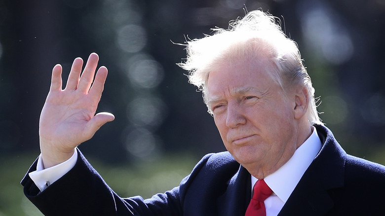 Donald Trump with flying hair on windy day