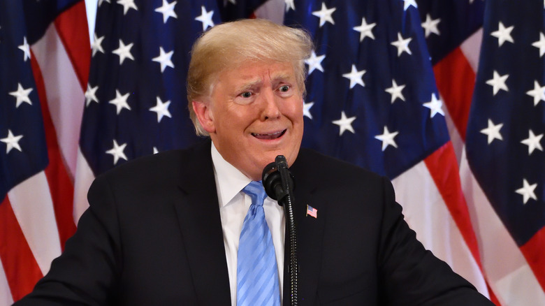 Then-President Donald Trump  at a press conference held at the Lotte Palace Hotel in 2018