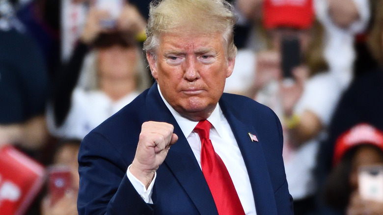 Donald Trump puts up a fist during a rally