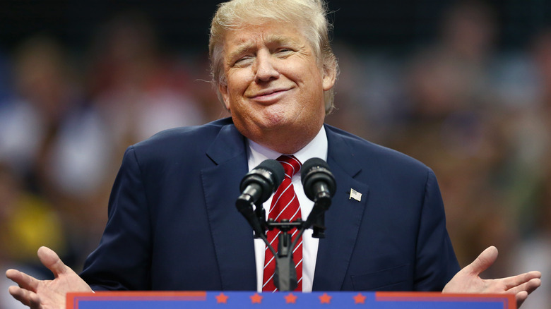 Donald Trump speaking during a campaign rally