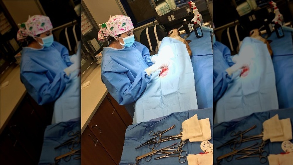 Dr. Jackie Duenas performing surgery 