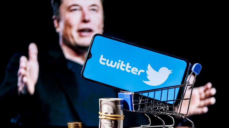 Elon Musk in Twitter collage