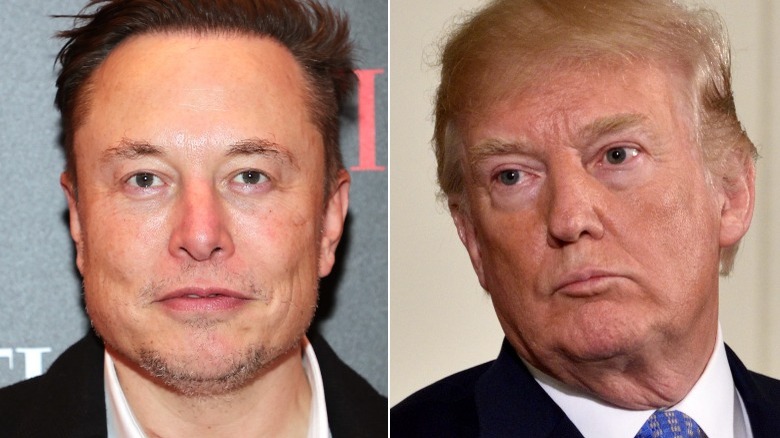 Elon Musk and Donald Trump split image