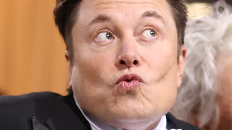 Elon Musk pursing lips looking left