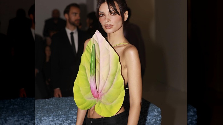 Emily Ratajkowski Loewe plant top