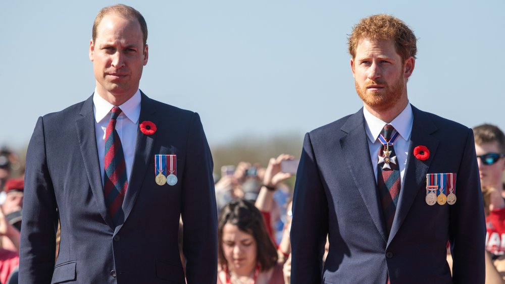 Prince William, Prince Harry standing side-by-side and looking solemn at a royal event