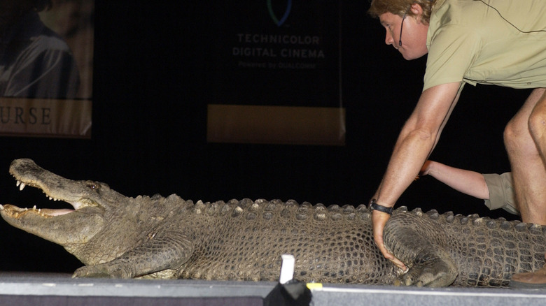 Steve Irwin bending over a crocodile