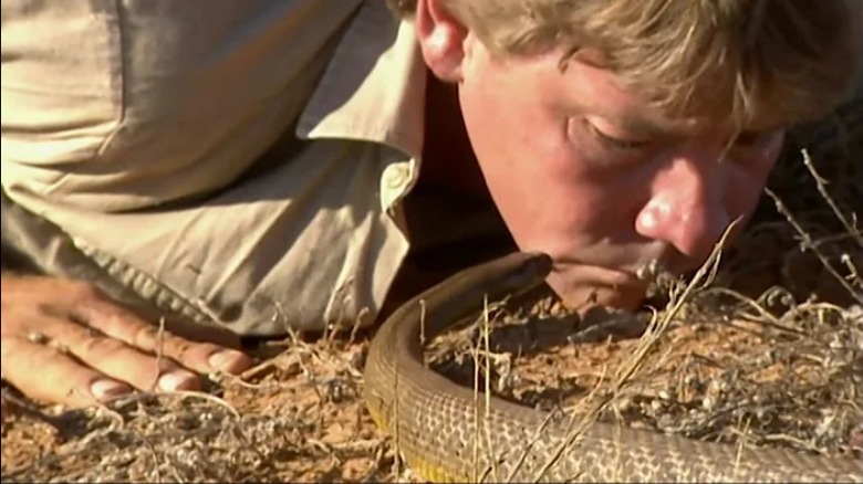 Steve Irwin facing Inland Taipan world's deadliest snake 