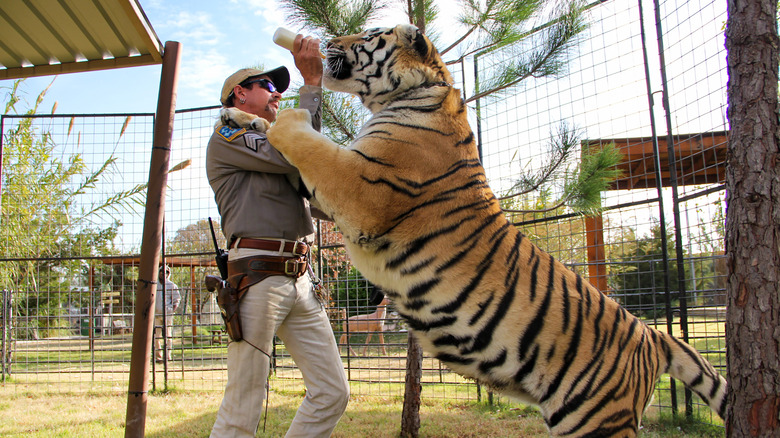 Joe Exotic with a tiger 