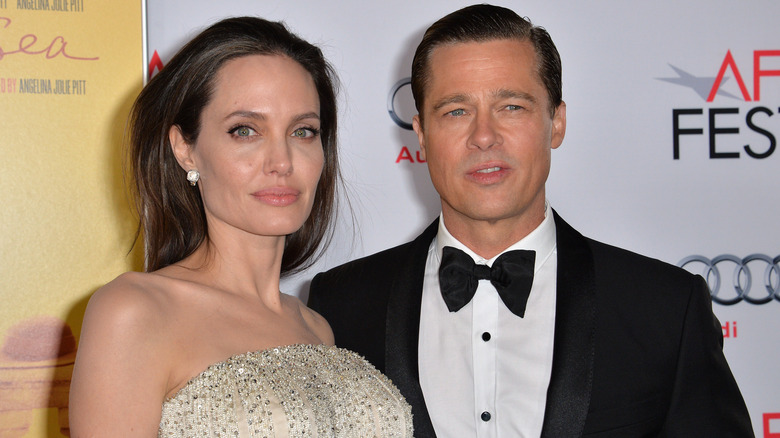 Expert Reveals Why Brad And Angelina's Divorce Is So Complicated