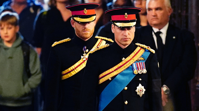 Prince Harry and Prince William military uniform