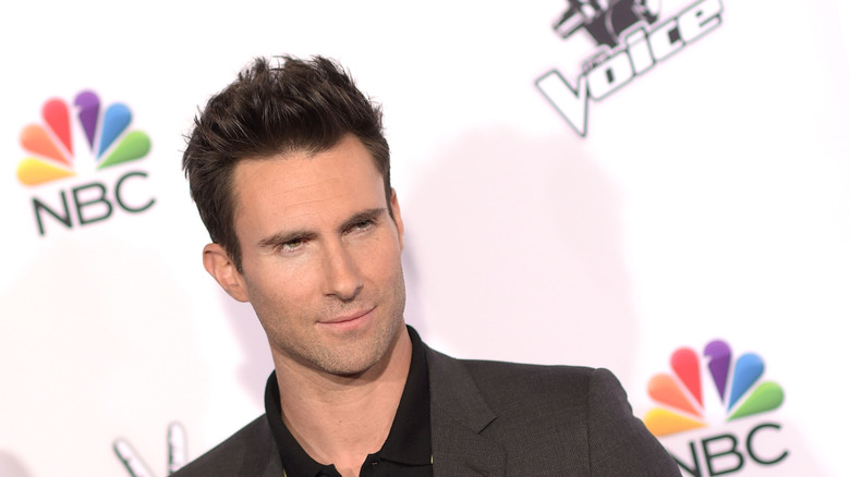 Adam Levine posing at an event