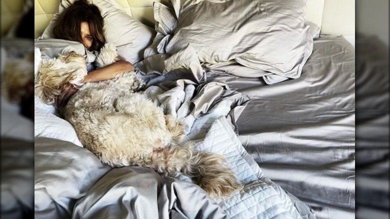 Halle Berry and dog in bed