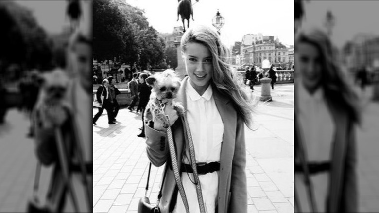 Amber Heard and her Yorkshire terrier