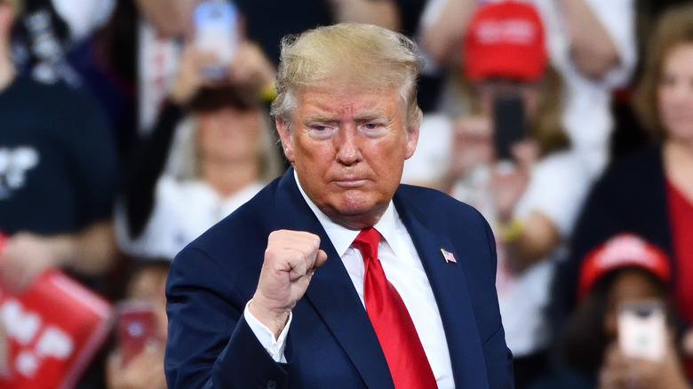 President Donald Trump gestures the confident fist pump at 2019 rally