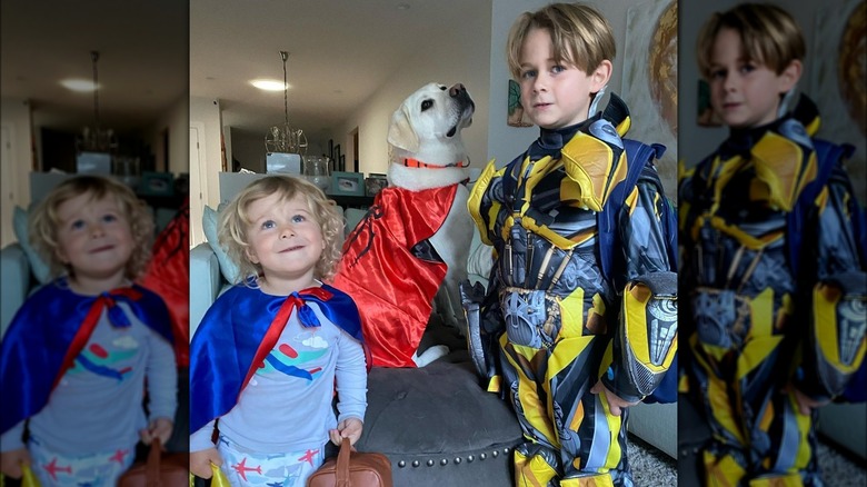 Nikki DeLoach's sons, dog dressed as superheroes