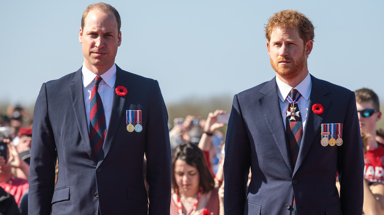 Prince Harry and Prince William posing 