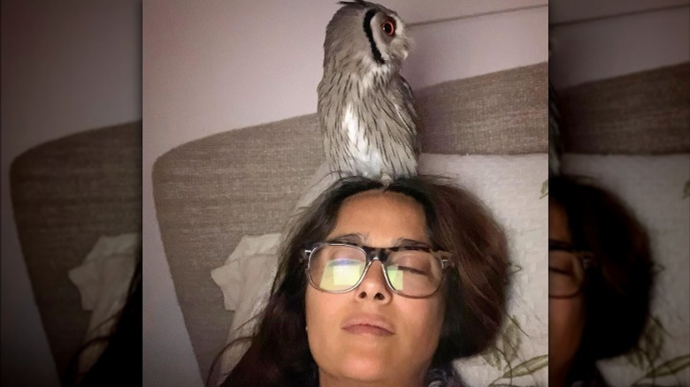 Salma Hayek with owl on head