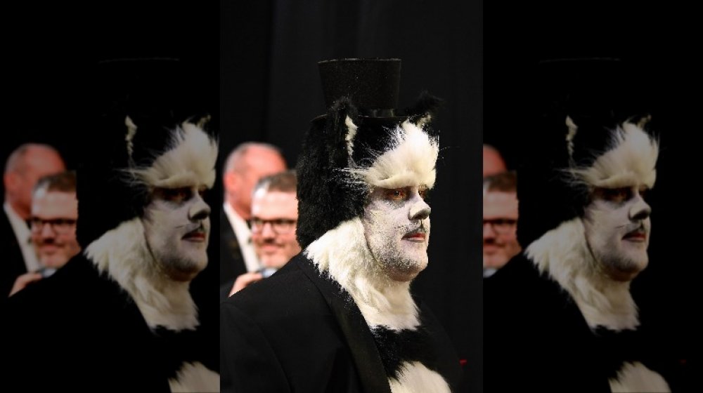 Here's How James Corden Really Feels About His Cats Role