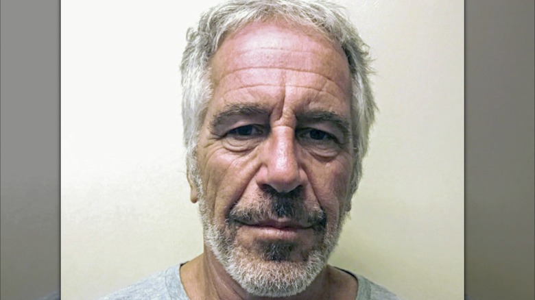 Jeffrey Epstein police mug shot