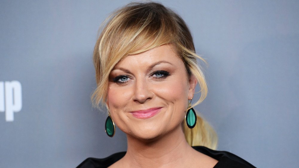 Amy Poehler