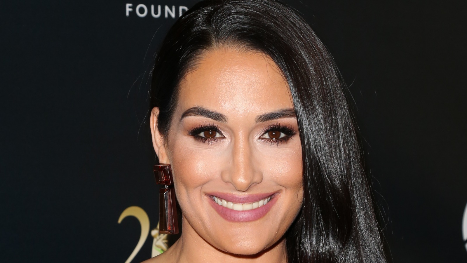 Here's How Much Nikki Bella Is Really Worth