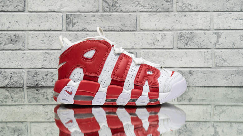 Pippen Nike shoe