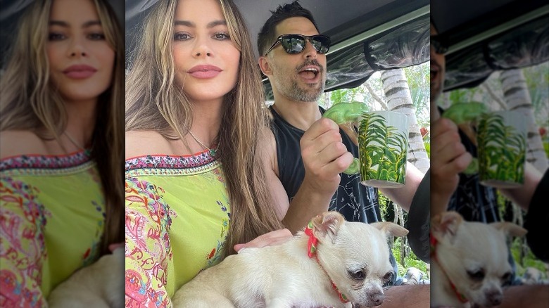 Sofia Vergara, Joe Manganiello, and Bubbles taking a selfie